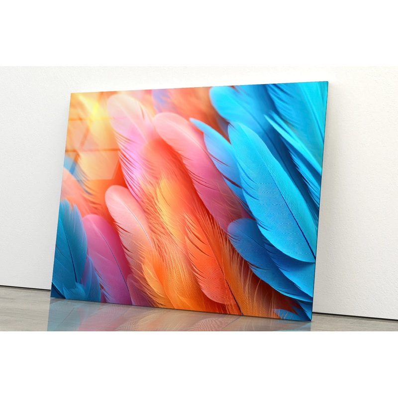 Feathers of a Bird Acrylic Glass Print Tempered Glass Wall Art 100% Made in Australia Ready to Hang