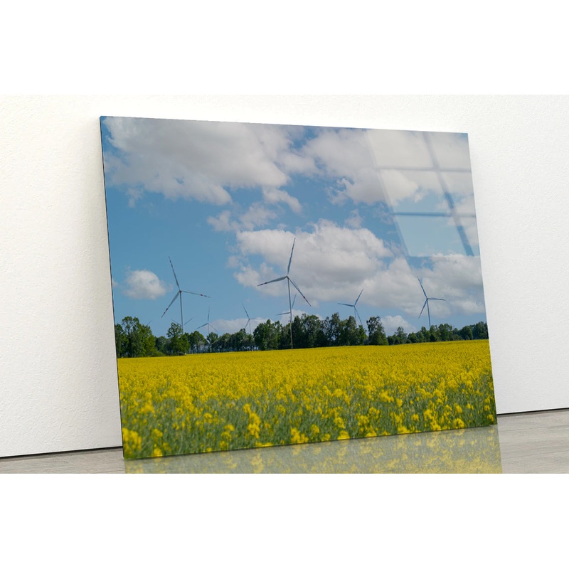 Rapeseed Plant and Wind Turbines Acrylic Glass Print Tempered Glass Wall Art 100% Made in Australia Ready to Hang