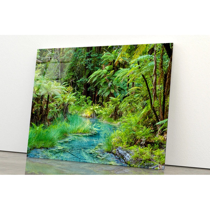 River in Whakarewarewa Forest Acrylic Glass Print Tempered Glass Wall Art 100% Made in Australia Ready to Hang