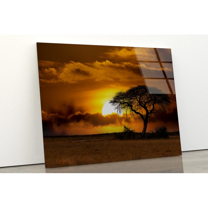 Sunset in Africa Over Acacia Tree Acrylic Glass Print Tempered Glass Wall Art 100% Made in Australia Ready to Hang