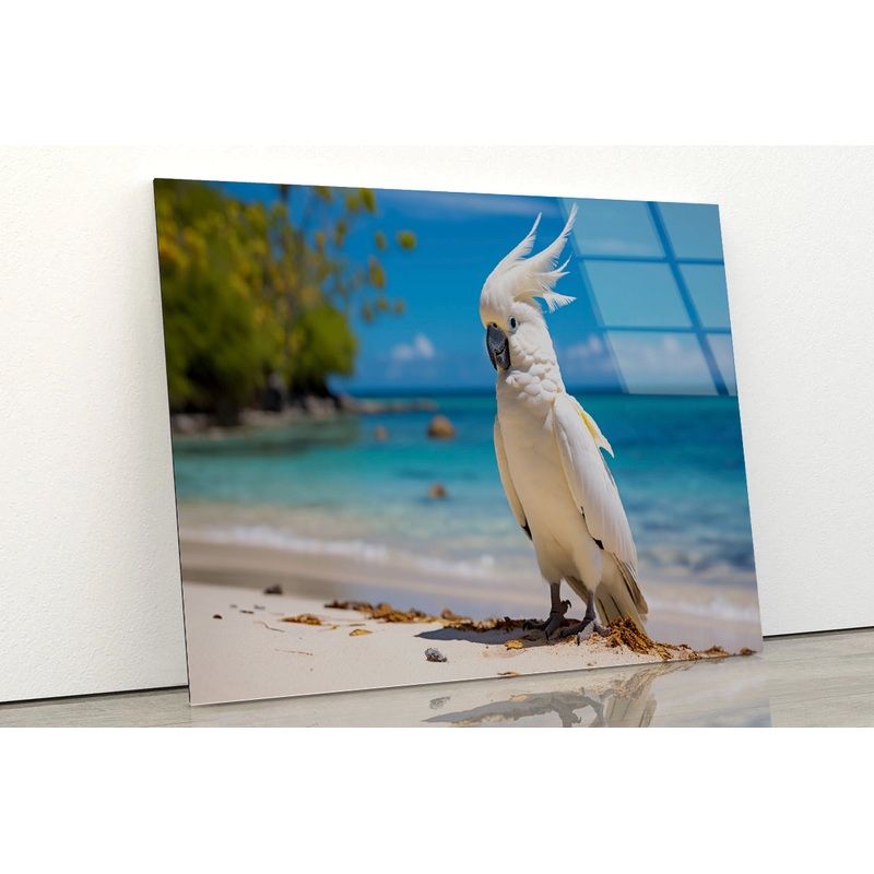 White Cockatoo Bird in Seashore Acrylic Glass Print Tempered Glass Wall Art 100% Made in Australia Ready to Hang