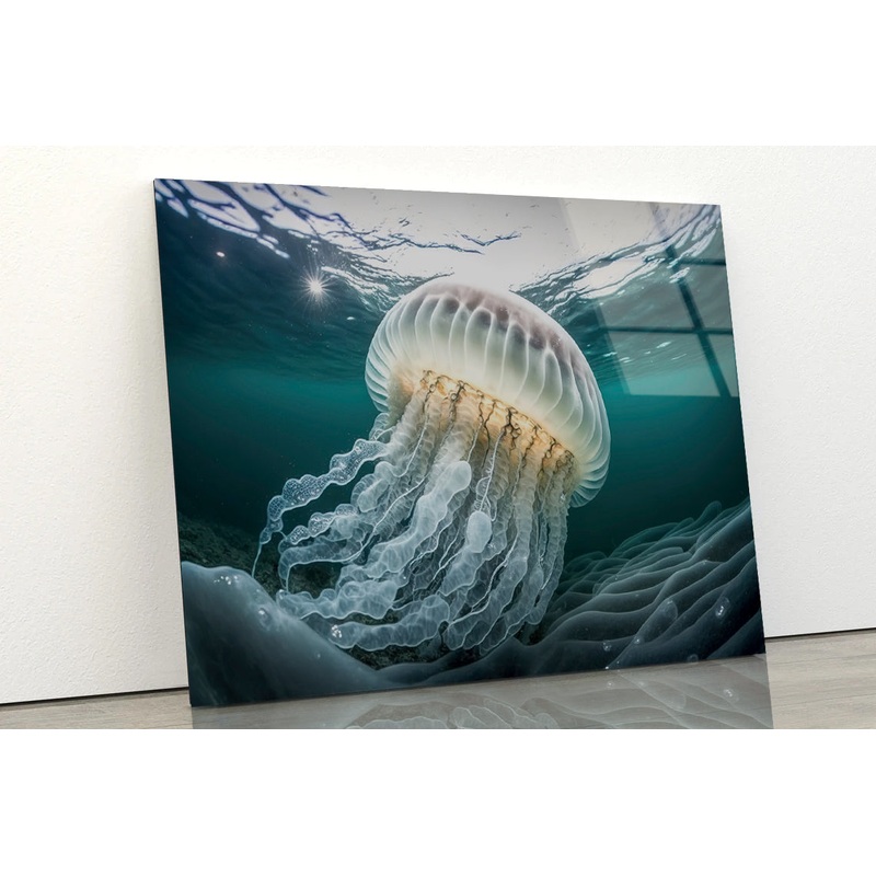 White Jellyfish Floating In the Water Acrylic Glass Print Tempered Glass Wall Art 100% Made in Australia Ready to Hang