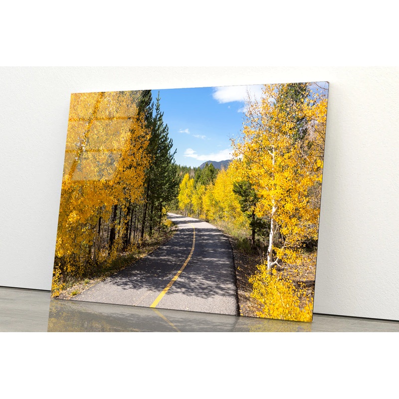 Yellow Aspens Trees in Colorado Acrylic Glass Print Tempered Glass Wall Art 100% Made in Australia Ready to Hang