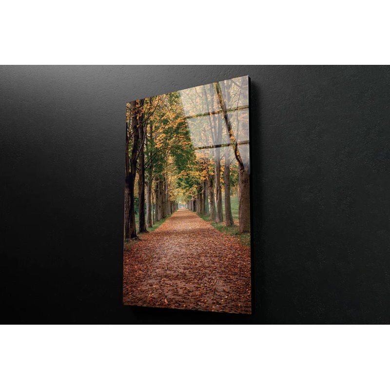 Avenue Covered by Fall Leaves in Pilnitz Park, Dresden, Germany Portrait Photograph Acrylic Glass Print Tempered Glass Wall Art 100% Made in Australia Ready to Hang