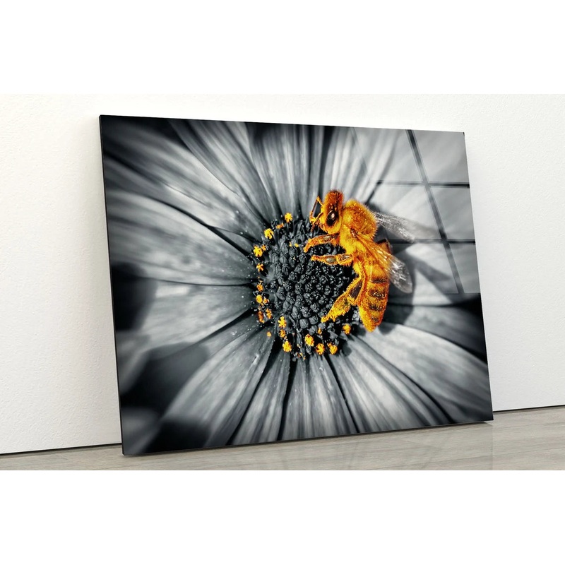 Bee on B&W Sunflower Acrylic Glass Print Tempered Glass Wall Art 100% Made in Australia Ready to Hang