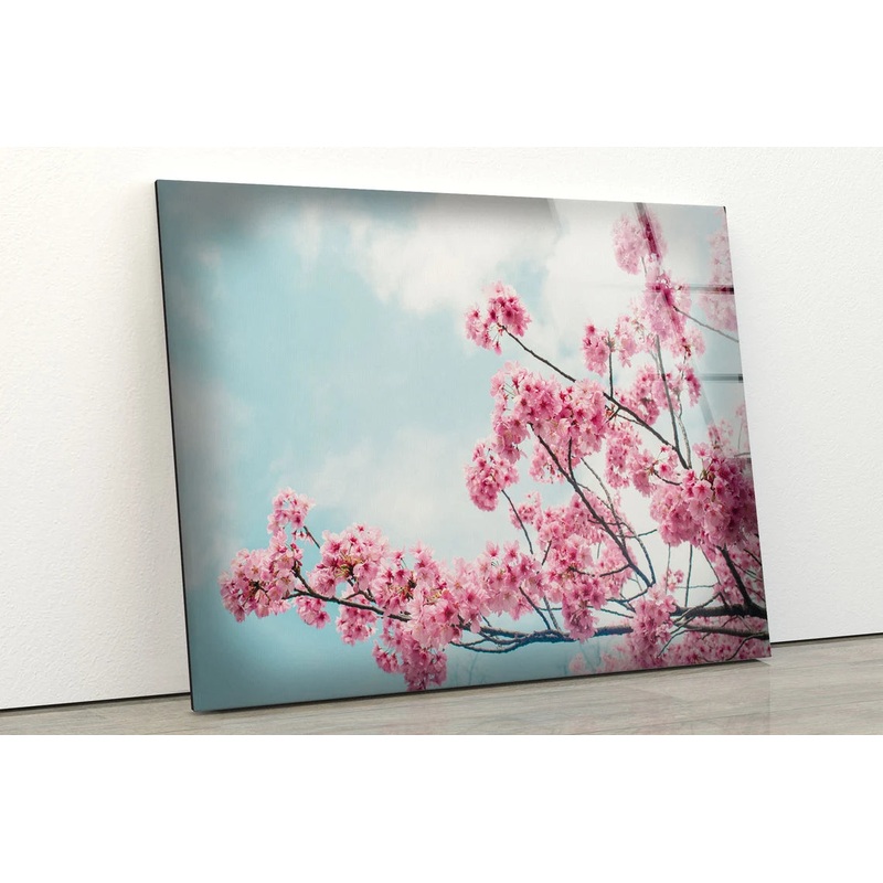 Blossom Flower Tree Photograph Acrylic Glass Print Tempered Glass Wall Art 100% Made in Australia Ready to Hang