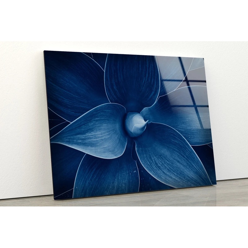 Blue Flower Closeup Photograph Acrylic Glass Print Tempered Glass Wall Art 100% Made in Australia Ready to Hang