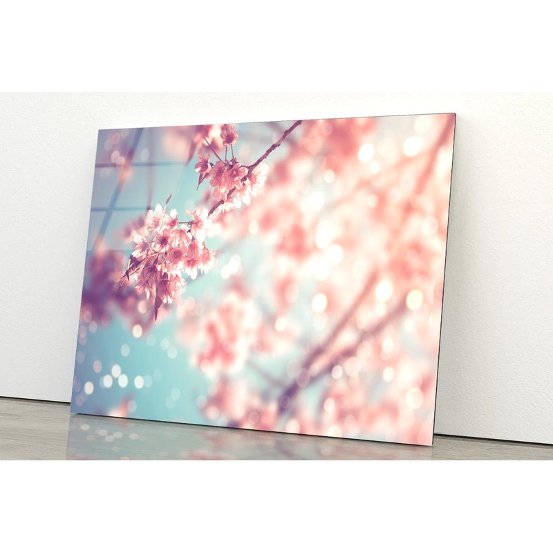 Close-Up Of Beautiful Vintage Sakura Tree Flower Acrylic Glass Print Tempered Glass Wall Art 100% Made in Australia Ready to Hang