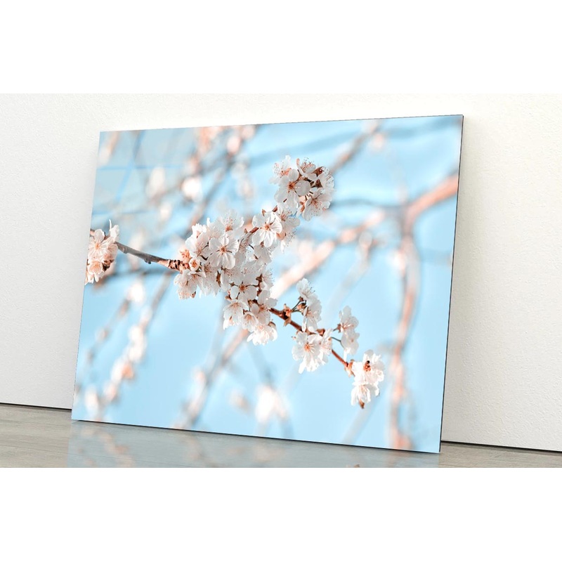 Close-Up Of the Blossoming Branch in Spring Acrylic Glass Print Tempered Glass Wall Art 100% Made in Australia Ready to Hang