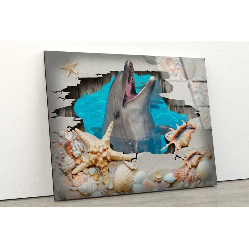 Dolphin & Starfish Photograph Acrylic Glass Print Tempered Glass Wall Art 100% Made in Australia Ready to Hang