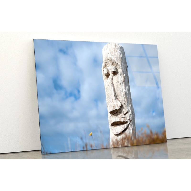 Driftwood Totem on Dunes at Ohope, Bay Off Plenty, New Zealand Acrylic Glass Print Tempered Glass Wall Art 100% Made in Australia Ready to Hang