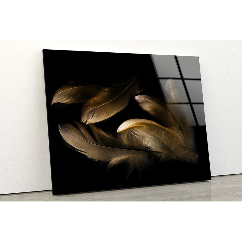 Feathers Closeup Photograph Acrylic Glass Print Tempered Glass Wall Art 100% Made in Australia Ready to Hang