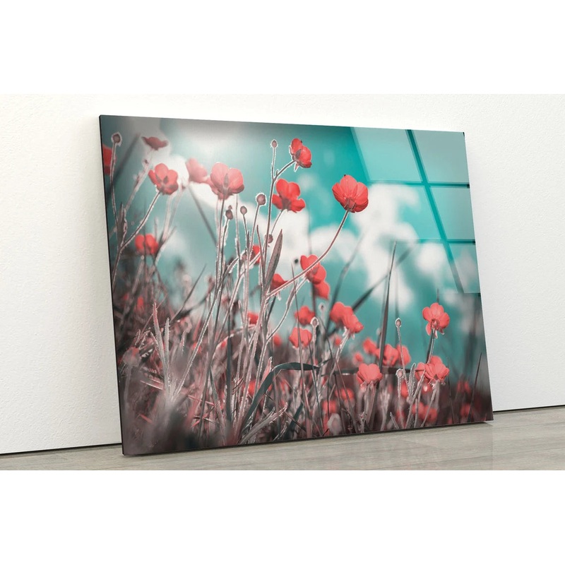 Flower Field & Sky Photograph Acrylic Glass Print Tempered Glass Wall Art 100% Made in Australia Ready to Hang