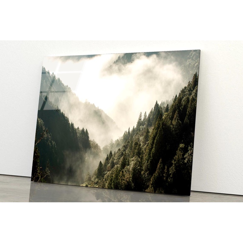 Fog In Forest, Early Morning Scene in Mountain Acrylic Glass Print Tempered Glass Wall Art 100% Made in Australia Ready to Hang