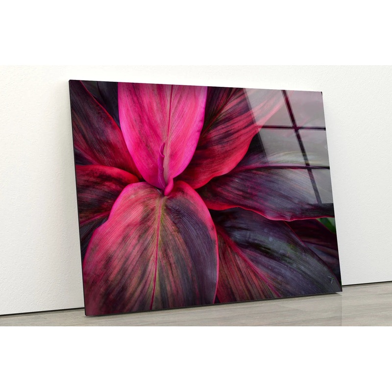 Purple Leaves Photograph Acrylic Glass Print Tempered Glass Wall Art 100% Made in Australia Ready to Hang