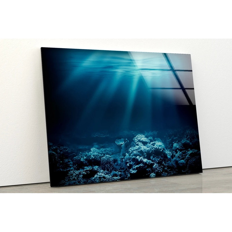 Sea Underwater View Photograph Acrylic Glass Print Tempered Glass Wall Art 100% Made in Australia Ready to Hang