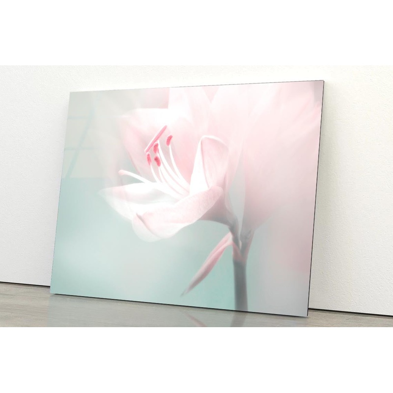 Single Dreamy Surreal White Flower Acrylic Glass Print Tempered Glass Wall Art 100% Made in Australia Ready to Hang