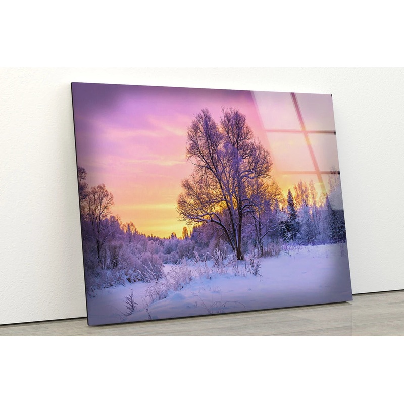 Snow Covered Trees Sunset Photograph Acrylic Glass Print Tempered Glass Wall Art 100% Made in Australia Ready to Hang
