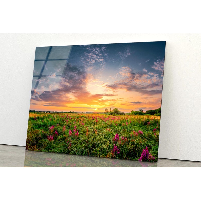 Sun Set Landscape with A Wild Field Full of Purple Flowers Acrylic Glass Print Tempered Glass Wall Art 100% Made in Australia Ready to Hang