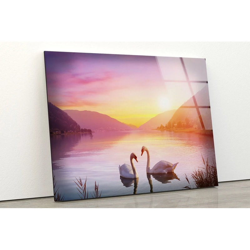Swans on Lake Sunset Photograph Acrylic Glass Print Tempered Glass Wall Art 100% Made in Australia Ready to Hang