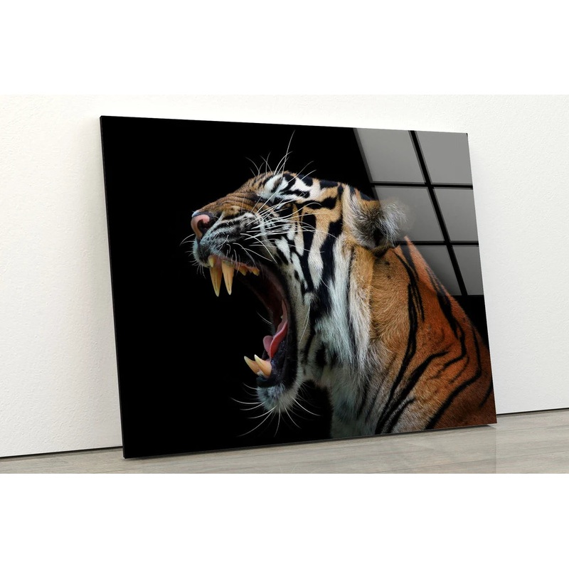 Tiger Face Closeup Photograph Acrylic Glass Print Tempered Glass Wall Art 100% Made in Australia Ready to Hang