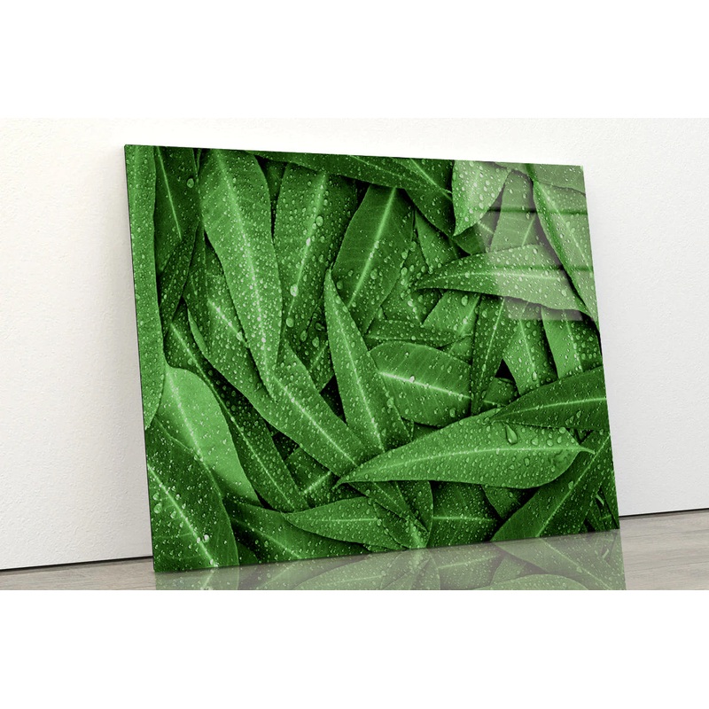 Water Droplets on Bunch of Leaves Acrylic Glass Print Tempered Glass Wall Art 100% Made in Australia Ready to Hang