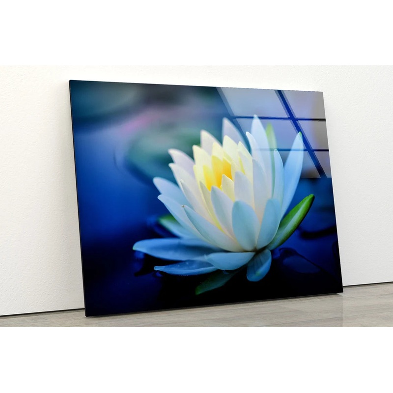 White Flower Closeup Photograph Acrylic Glass Print Tempered Glass Wall Art 100% Made in Australia Ready to Hang