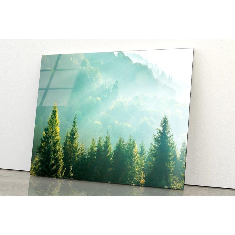 Wonderful Nature Background with Sunlight Acrylic Glass Print Tempered Glass Wall Art 100% Made in Australia Ready to Hang