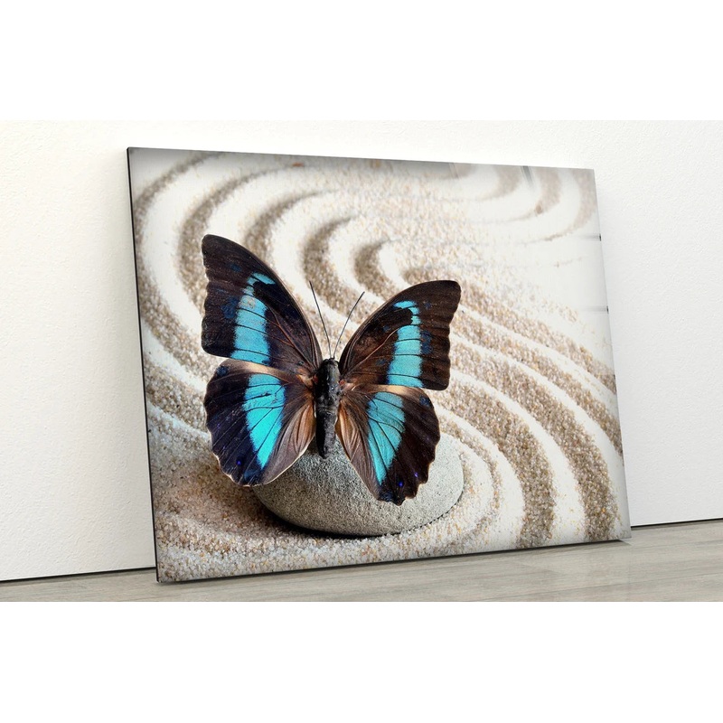 Butterfly on Sand Art Photograph Acrylic Glass Print Tempered Glass Wall Art 100% Made in Australia Ready to Hang