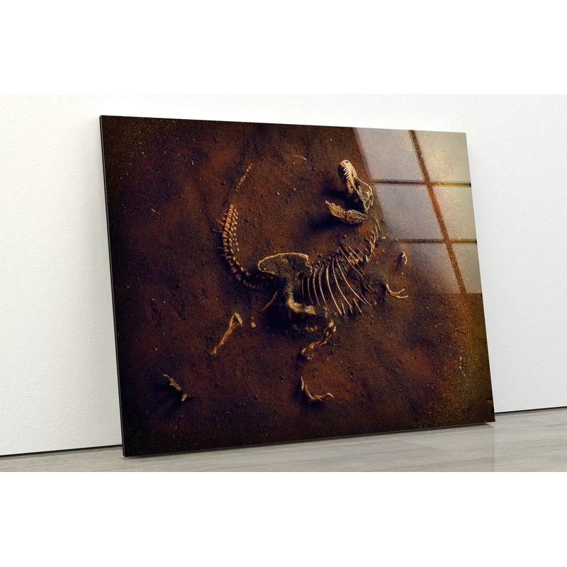 Dinosaur Fossil Photograph Acrylic Glass Print Tempered Glass Wall Art 100% Made in Australia Ready to Hang