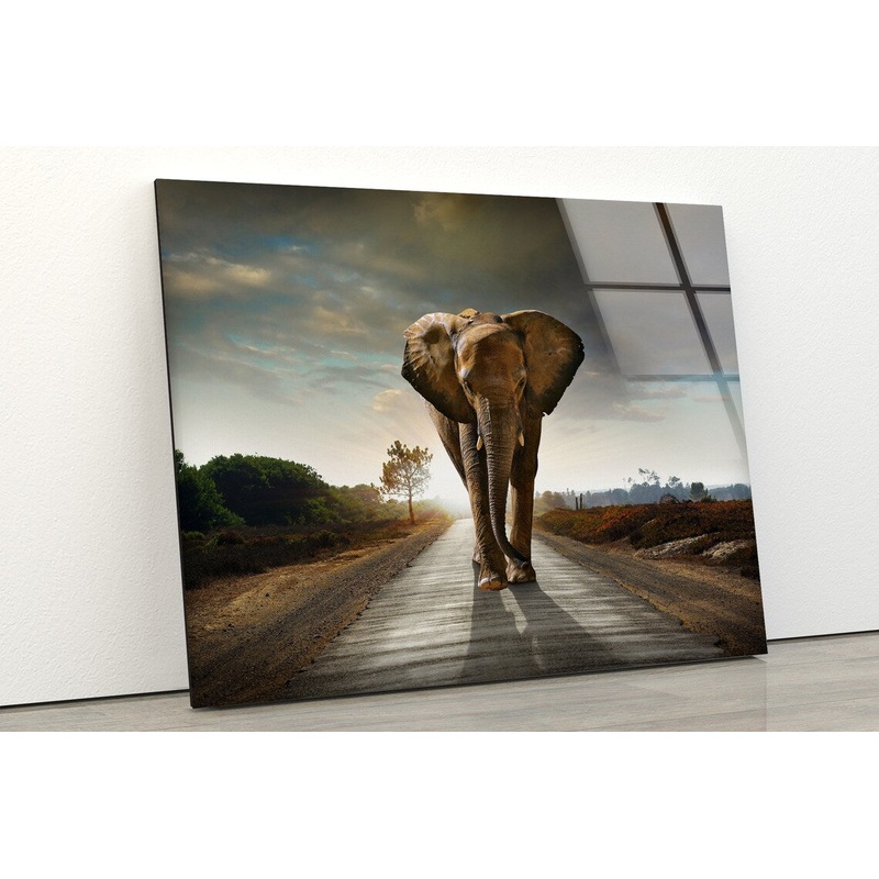 Elephant Walking on The Road Photograph Acrylic Glass Print Tempered Glass Wall Art 100% Made in Australia Ready to Hang