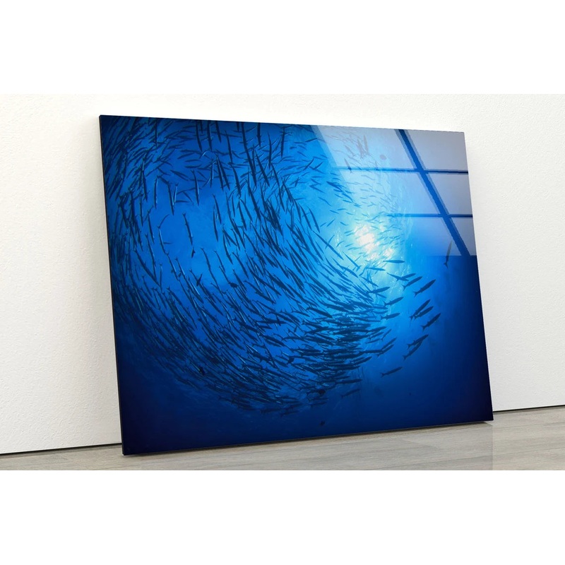 Fish Underwater Photograph Acrylic Glass Print Tempered Glass Wall Art 100% Made in Australia Ready to Hang