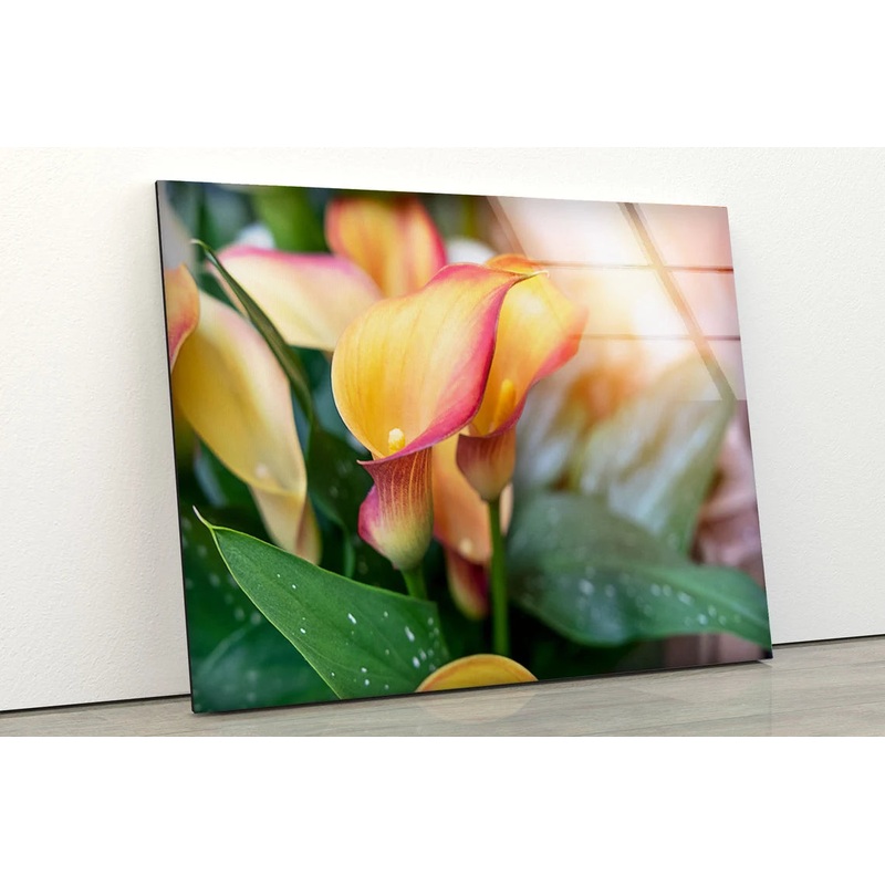 Flowers Closeup Photograph Acrylic Glass Print Tempered Glass Wall Art 100% Made in Australia Ready to Hang