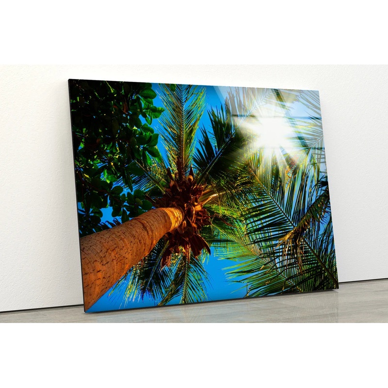 Plam Trees Photograph Acrylic Glass Print Tempered Glass Wall Art 100% Made in Australia Ready to Hang