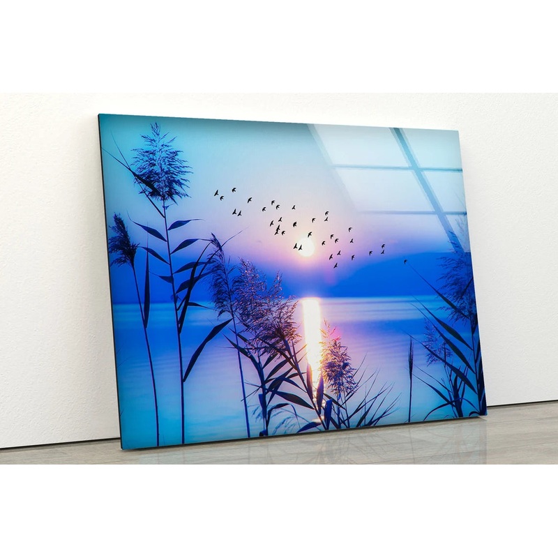 Plants Near Lake Sunset Photograph Acrylic Glass Print Tempered Glass Wall Art 100% Made in Australia Ready to Hang
