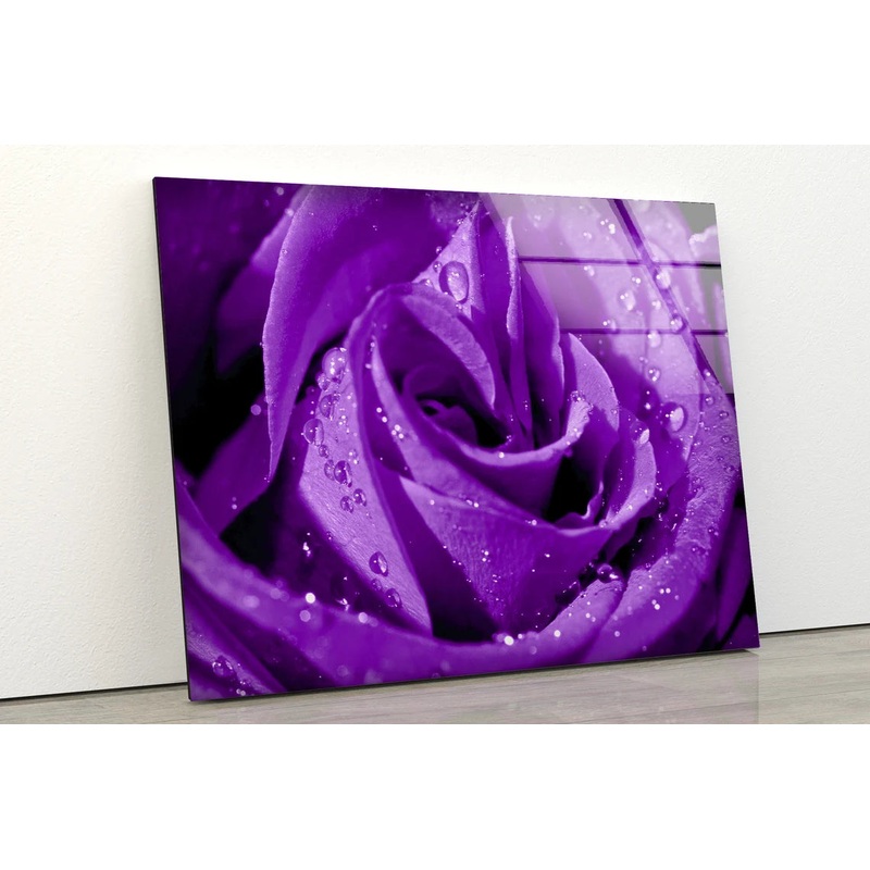 Purple Flower Closeup Photograph Acrylic Glass Print Tempered Glass Wall Art 100% Made in Australia Ready to Hang
