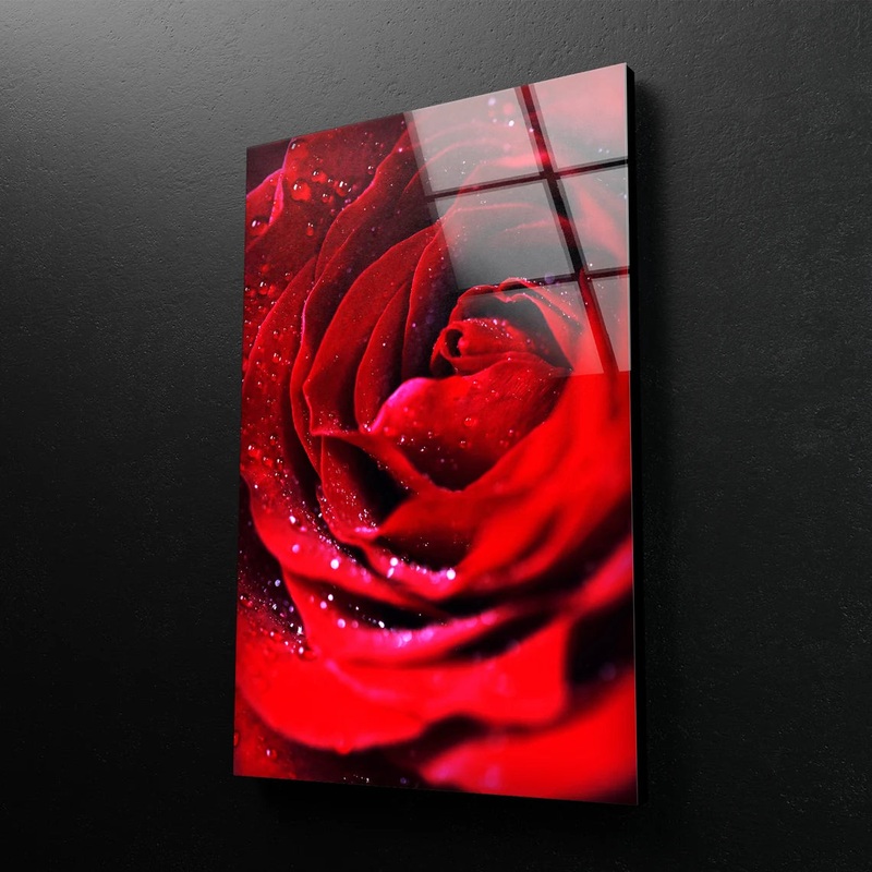 Red Flower with Water Closeup Photograph Acrylic Glass Print Tempered Glass Wall Art 100% Made in Australia Ready to Hang