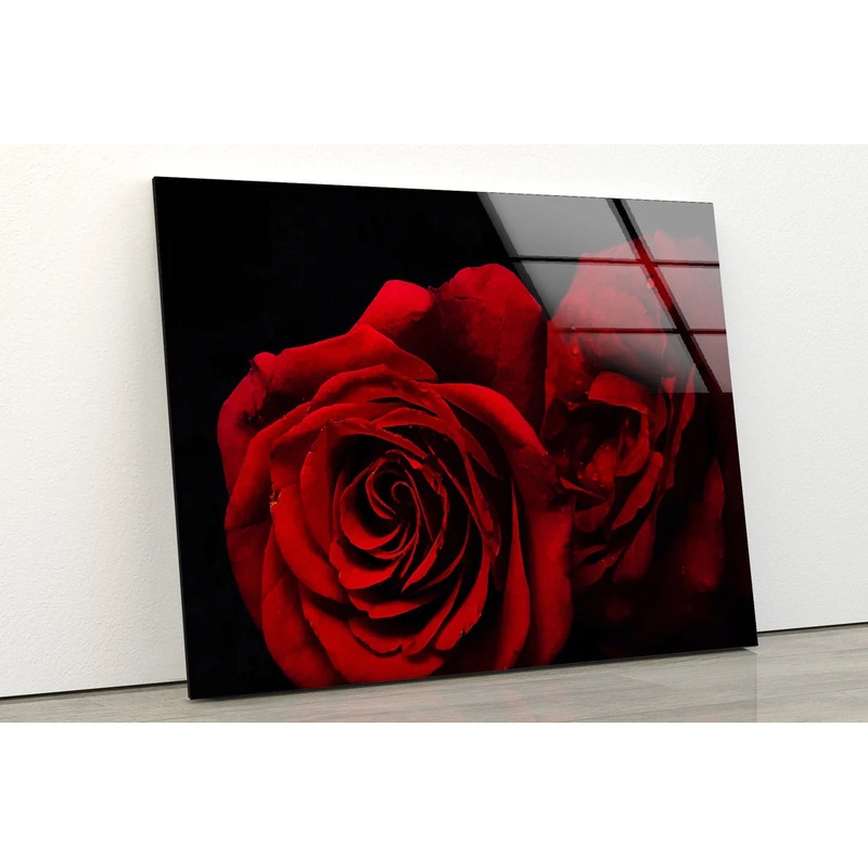 Red Rose Flower Photograph Acrylic Glass Print Tempered Glass Wall Art 100% Made in Australia Ready to Hang