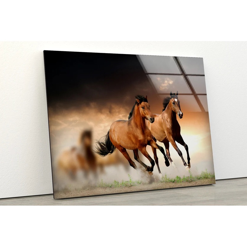 Running Horses Photograph Acrylic Glass Print Tempered Glass Wall Art 100% Made in Australia Ready to Hang