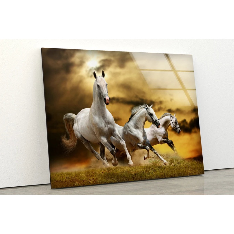 Running Horses Sunset Photograph Acrylic Glass Print Tempered Glass Wall Art 100% Made in Australia Ready to Hang