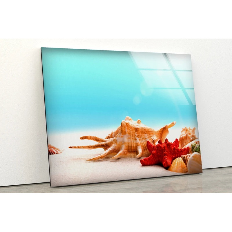 Sea Shells on Sand Photograph Acrylic Glass Print Tempered Glass Wall Art 100% Made in Australia Ready to Hang