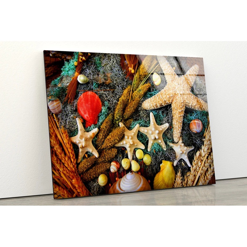 Sea Shells Photograph Acrylic Glass Print Tempered Glass Wall Art 100% Made in Australia Ready to Hang