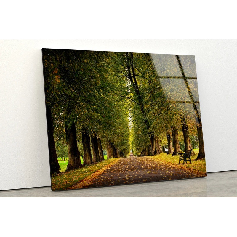 Trees Along Road Acrylic Glass Print Tempered Glass Wall Art 100% Made in Australia Ready to Hang