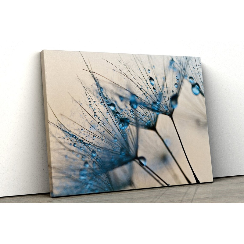Waterdrops on Dandelion Flowers Photograph Acrylic Glass Print Tempered Glass Wall Art 100% Made in Australia Ready to Hang