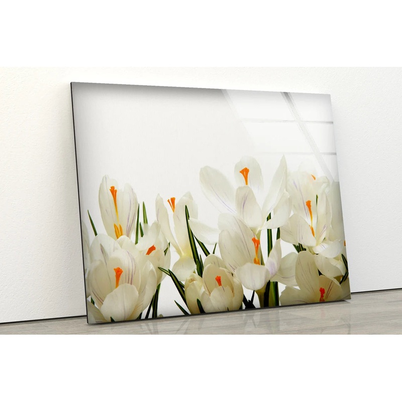 White Flowers Photograph Acrylic Glass Print Tempered Glass Wall Art 100% Made in Australia Ready to Hang