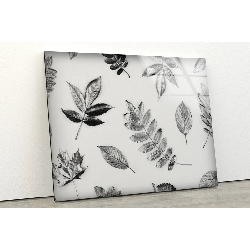 B&W Leaves Pattern Design Acrylic Glass Print Tempered Glass Wall Art 100% Made in Australia Ready to Hang