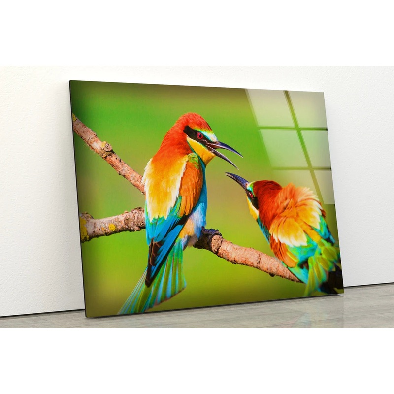 Birds on Tree Photograph Acrylic Glass Print Tempered Glass Wall Art 100% Made in Australia Ready to Hang