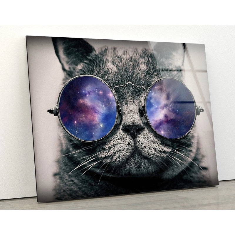 Cat with Sunglasses Photograph Acrylic Glass Print Tempered Glass Wall Art 100% Made in Australia Ready to Hang