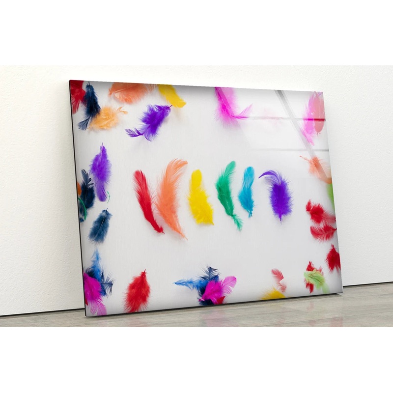 Colorful Feathers Photograph Acrylic Glass Print Tempered Glass Wall Art 100% Made in Australia Ready to Hang