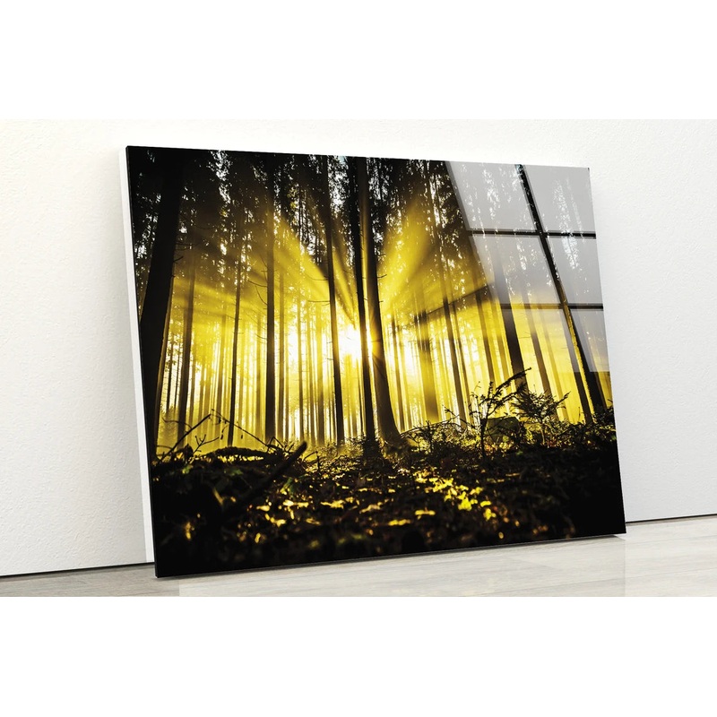 Dark Forest with Yellow Sunrays Photograph Acrylic Glass Print Tempered Glass Wall Art 100% Made in Australia Ready to Hang